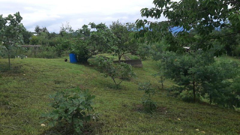 земля г Сочи с Орел-Изумруд ул Петрозаводская 100б городской округ Сочи фото 2