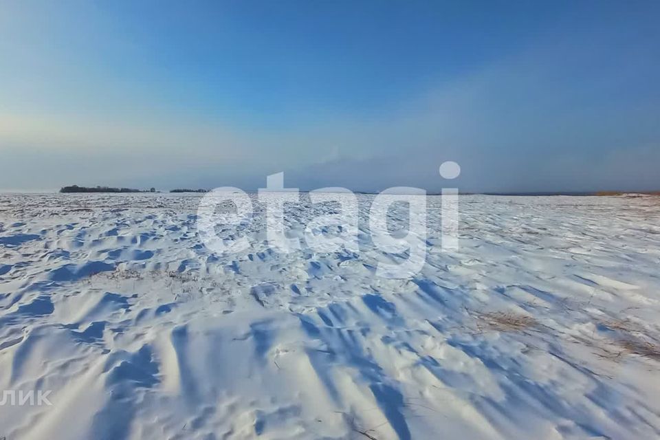 земля р-н Березовский п Березовка ул Пожарского фото 1