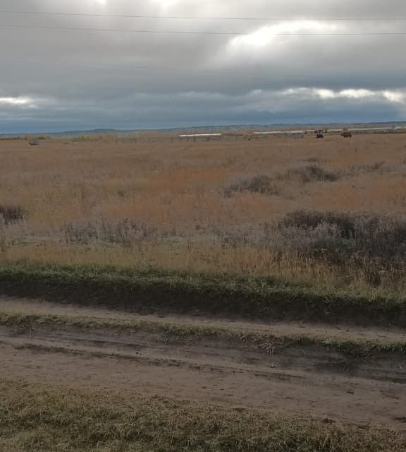 земля городской округ Жатай, Республика Саха Якутия, рабочий посёлок Жатай фото 4