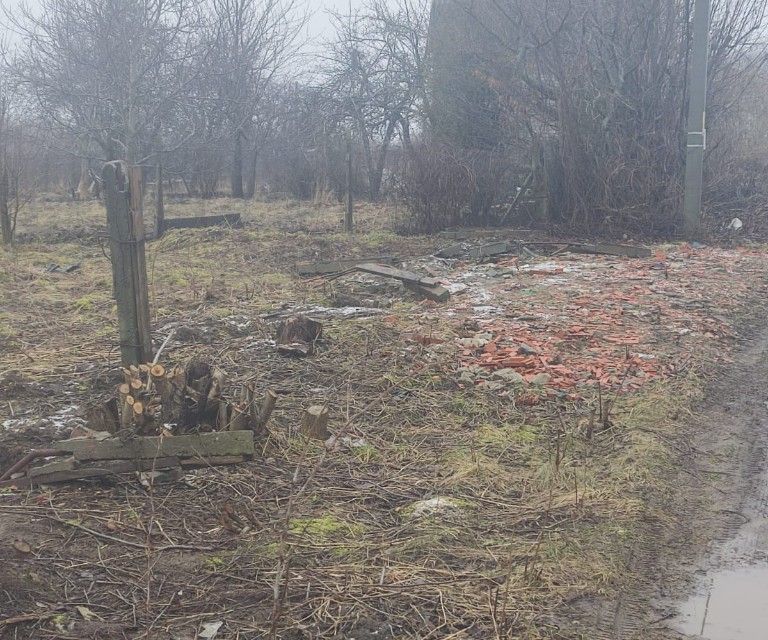 земля г Пионерский Пионерский городской округ, СНТ Южный фото 6