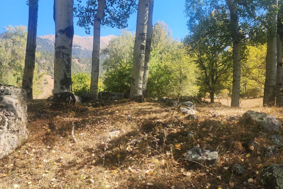 земля г Теберда тер Джамагатское ущелье-2 городской округ Карачаевский фото 1