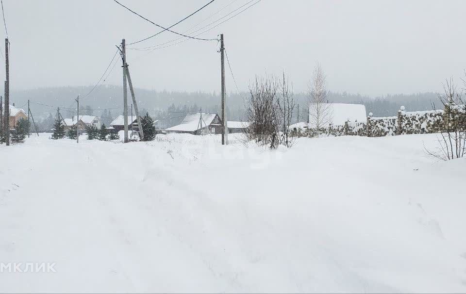 земля р-н Пермский д Большакино ул Центральная 25/1 фото 5