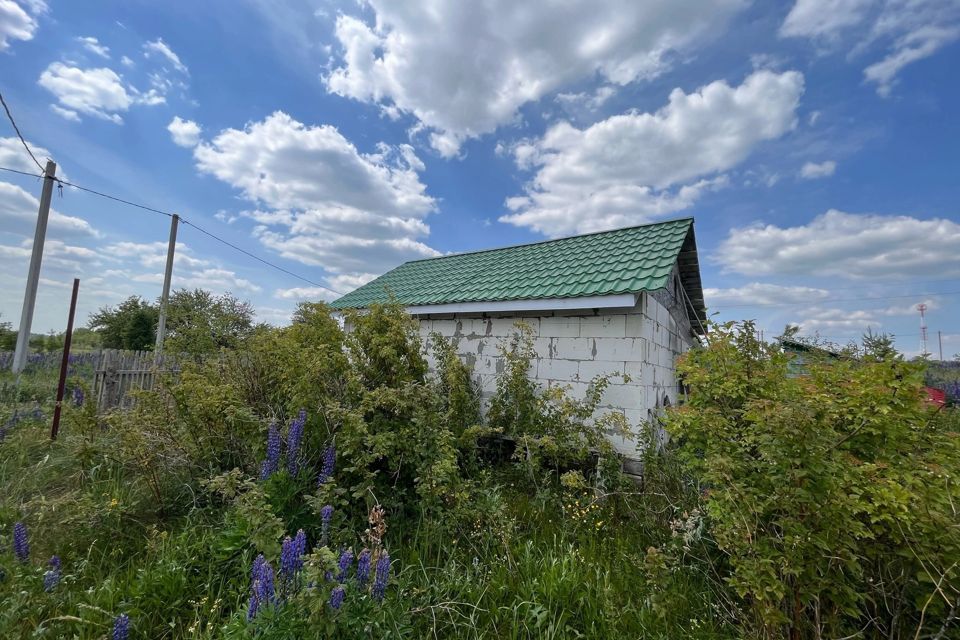 дом р-н Смоленский село Ольша фото 10