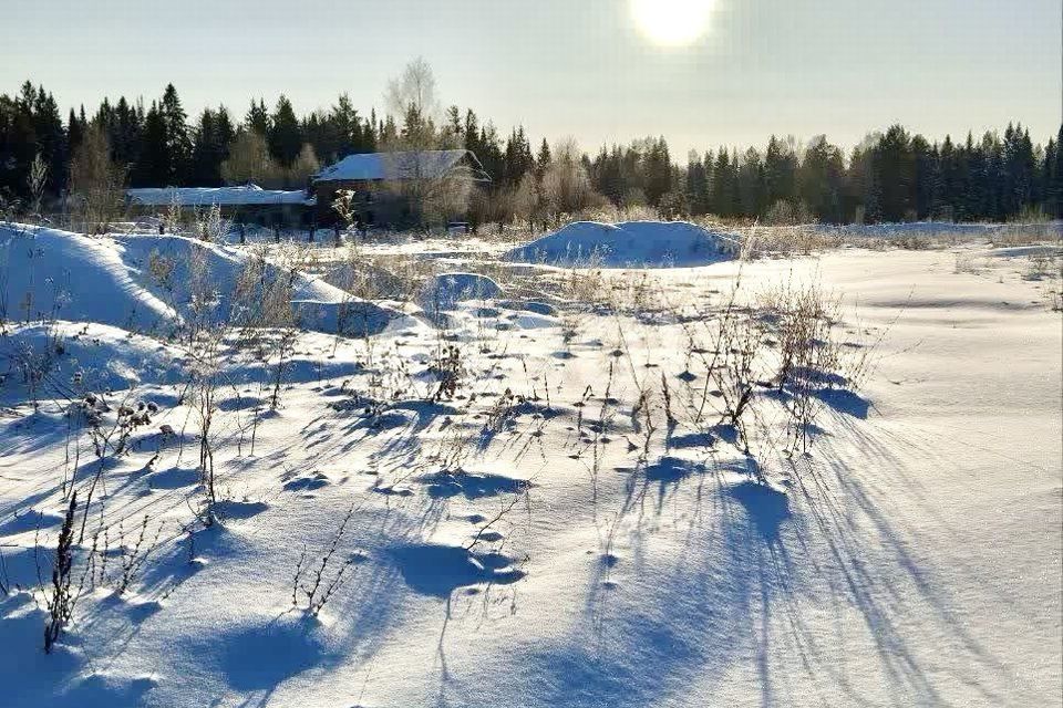 земля р-н Завьяловский фото 1