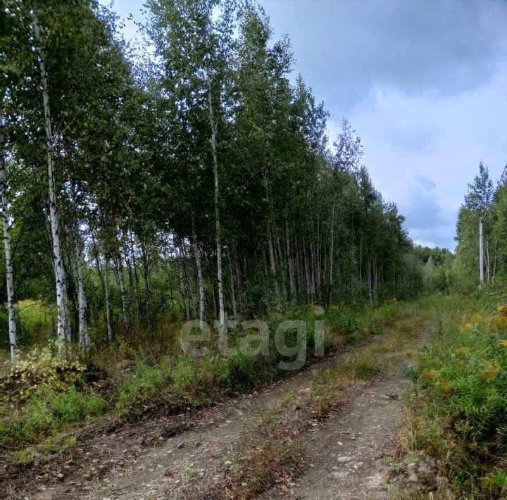 земля р-н Хабаровский с Мичуринское ул Абрикосовая Восточный сад СНТ фото 7