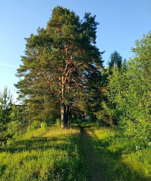 земля р-н Бабаевский д Торопово ул Заречье фото 6