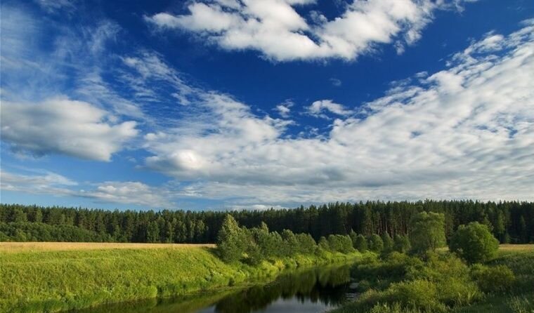 земля р-н Калининский д Головачево Тургиновское сельское поселение, Козлово фото 16