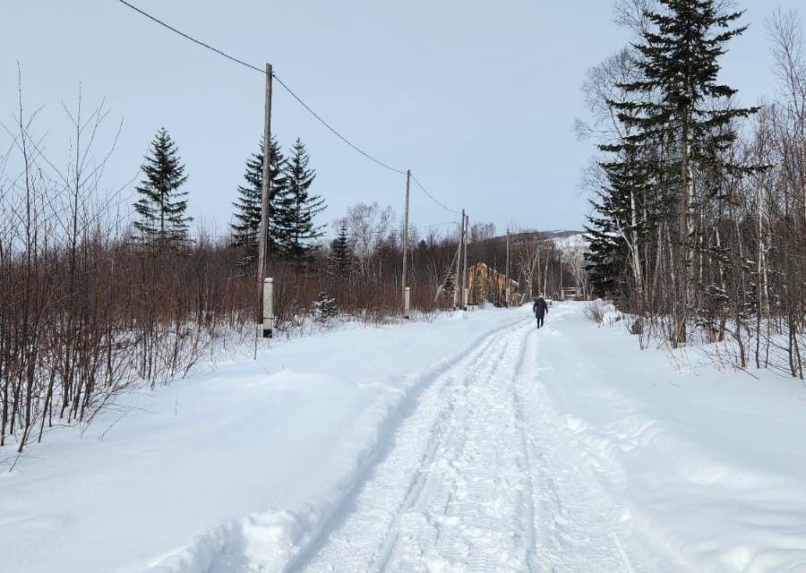 земля городской округ Южно-Сахалинск, СНТ Берёзка-1 фото 4