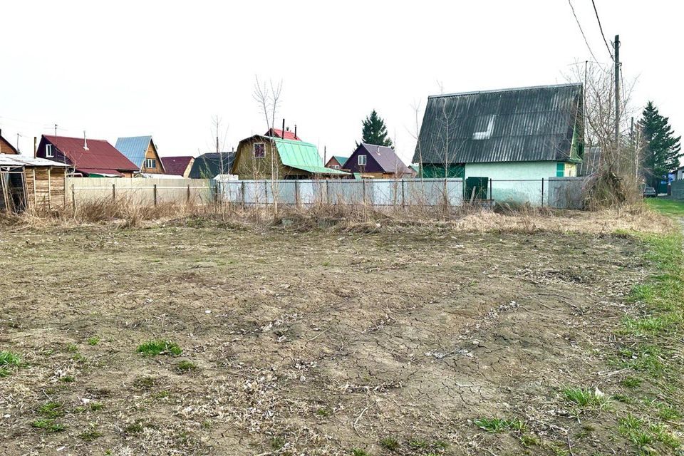 земля г Новосибирск садоводческое некоммерческое товарищество Рабис, городской округ Новосибирск фото 2