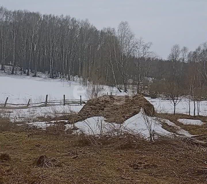 земля р-н Топкинский посёлок Мокроусовский фото 5