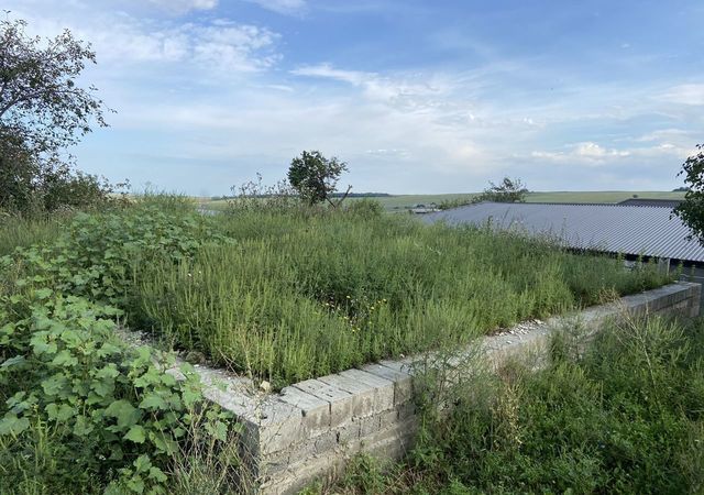 с Николаевское ул Веселая Черкесск фото