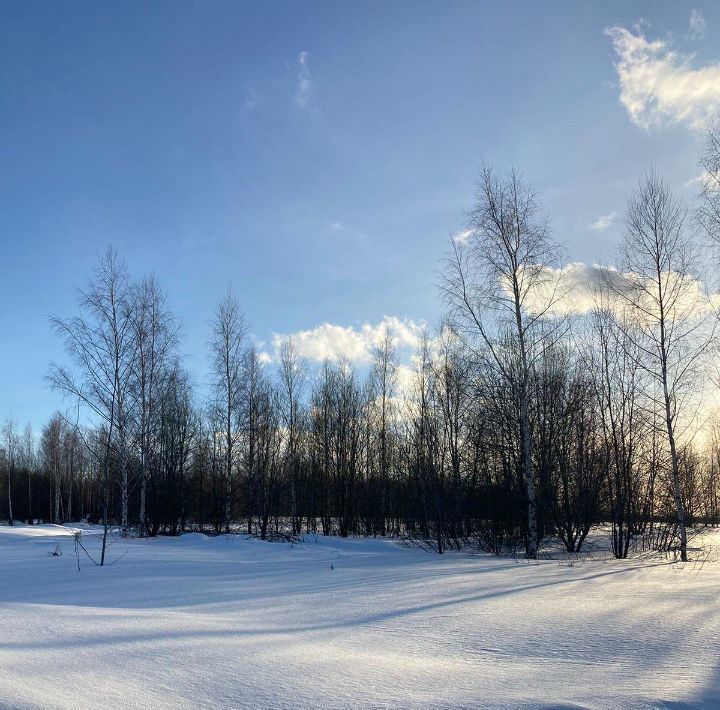 земля р-н Переславский с Веськово Переславль-Залесский городской округ фото 3