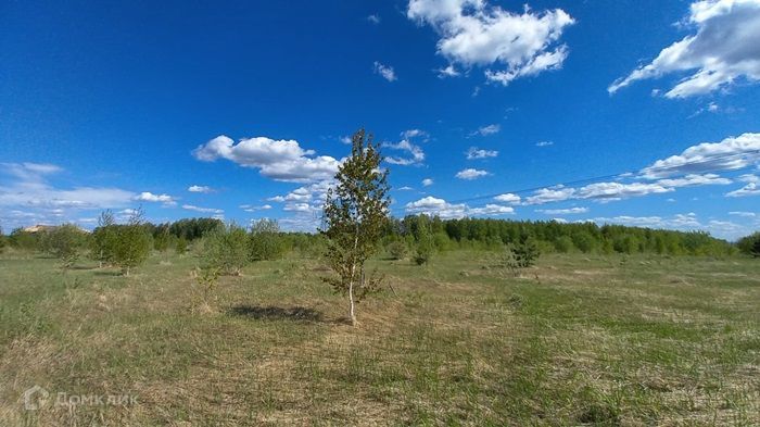 земля р-н Зеленодольский с Большие Кургузи ул Центральная 36 фото 2