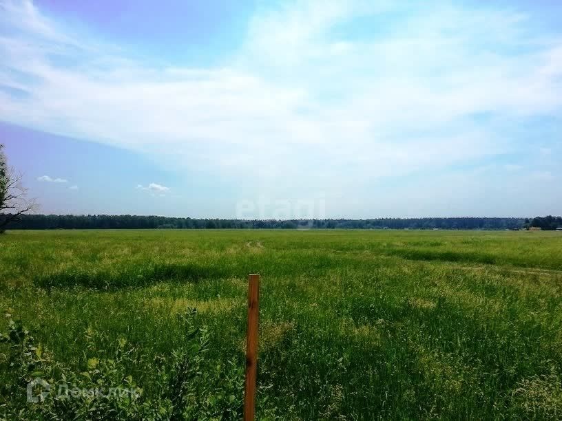 земля р-н Грязинский Карамышевский сельсовет фото 3