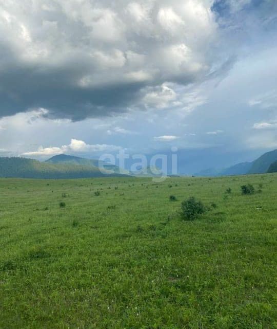 земля р-н Чемальский село Анос фото 1