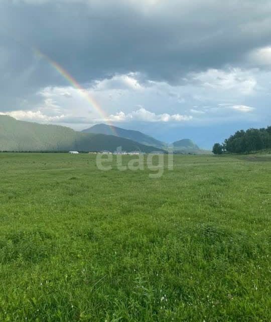 земля р-н Чемальский село Анос фото 2