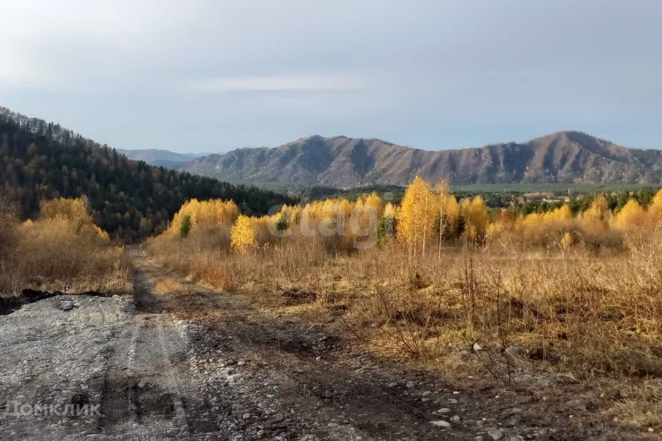 земля р-н Майминский с Озерное ул Центральная фото 6