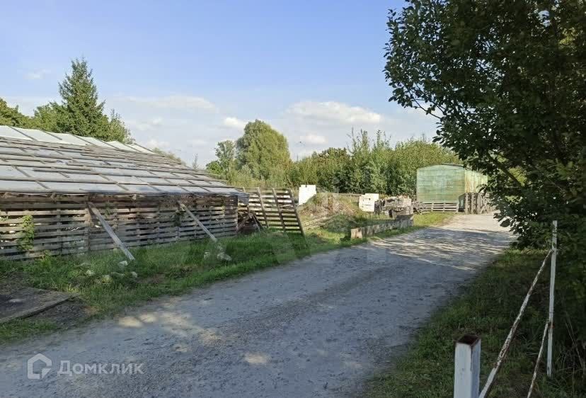 земля р-н Гурьевский п Березовка ул Березовая фото 1