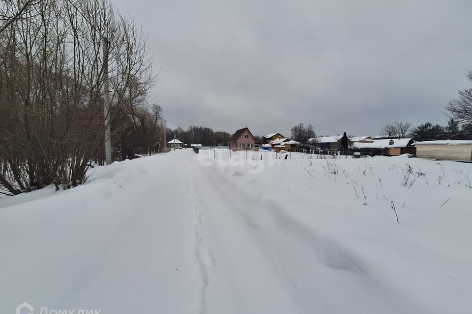 земля городской округ Орехово-Зуевский д Абрамовка 89 фото 5