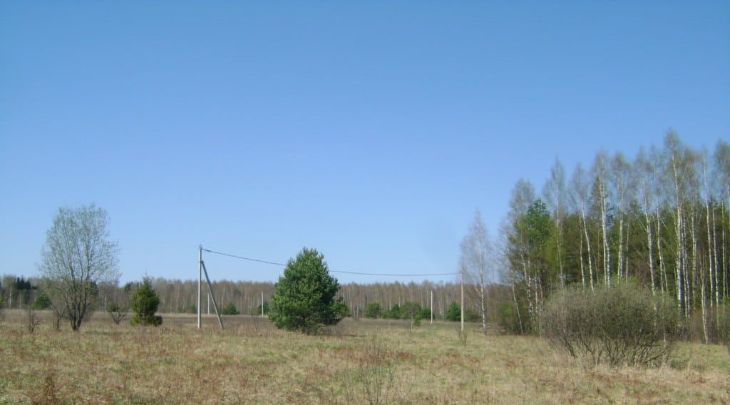 земля Переславль-Залесский городской округ, д. Ширяйка фото 2