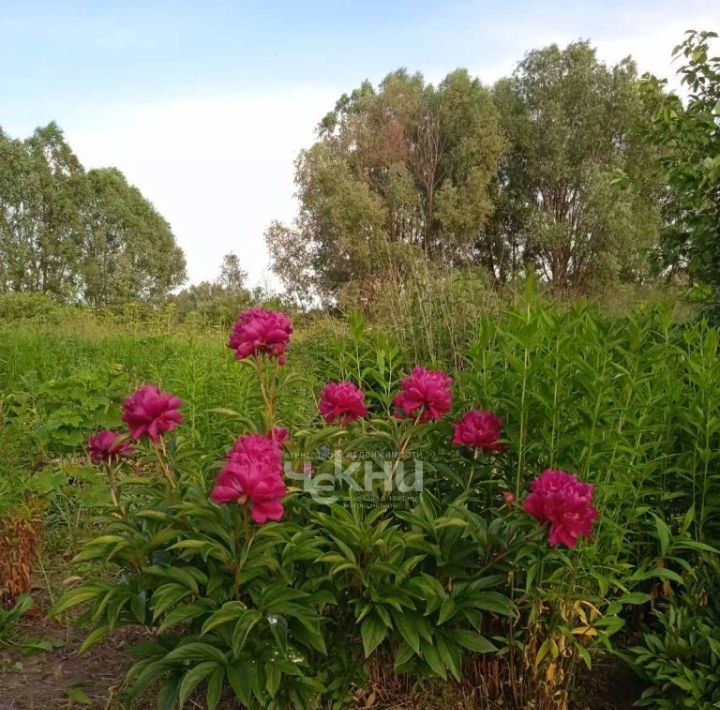 дом р-н Лысковский с Саурово ул Нижняя 2 фото 5