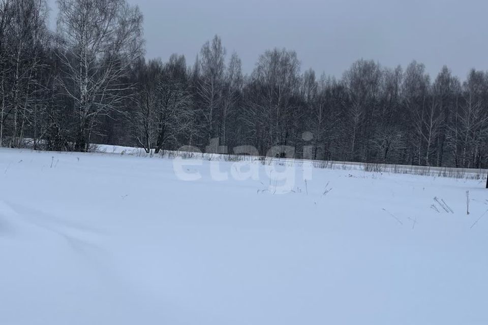 земля городской округ Чехов деревня Дмитровка фото 1