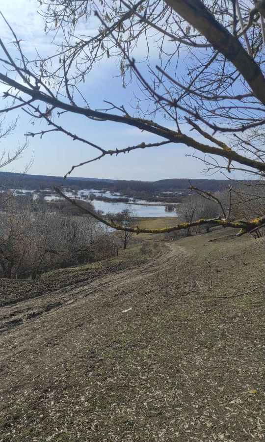 дом р-н Кирсановский с Калаис ул Подвячка 59 Калаисский сельсовет, Кирсанов фото 13