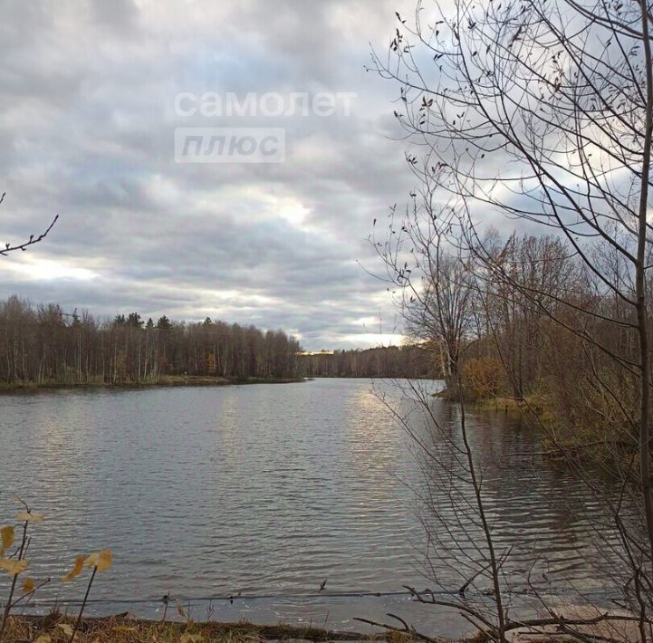 дом р-н Арзамасский с Морозовка ул Советская 30 Арзамас городской округ фото 14