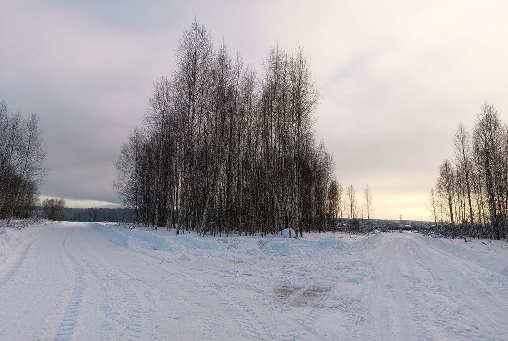 земля городской округ Одинцовский коттеджный посёлок Лапин О 2, 82, Баковка фото 1