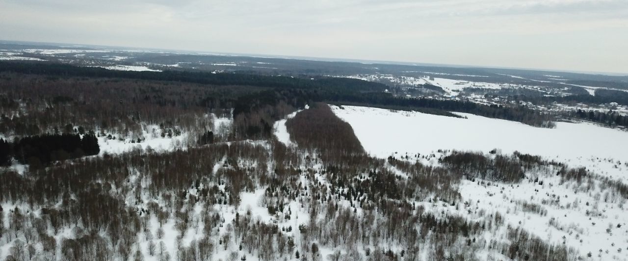 земля р-н Александровский д Легково муниципальное образование, Андреевское фото 2