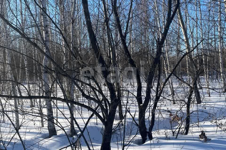 земля г Благовещенск ш Игнатьевское городской округ Благовещенск фото 3