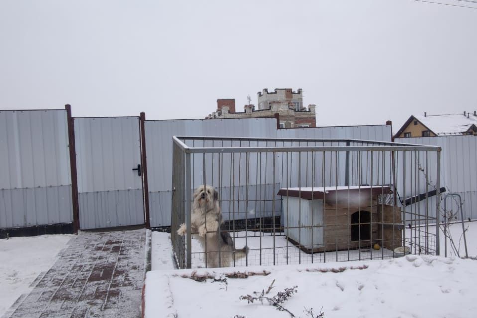 дом г Старый Оскол пер 3-й Владимирский Старооскольский городской округ фото 5