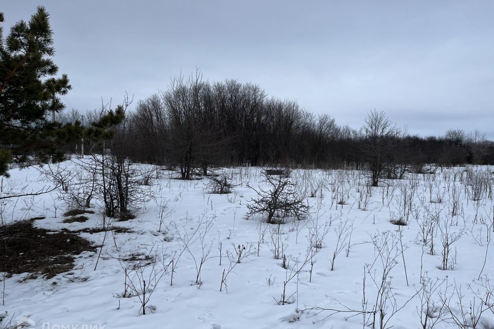 земля р-н Новоусманский село Новая Усмань фото 3