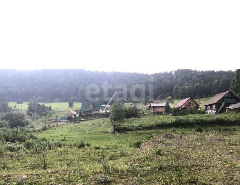 земля р-н Майминский село Бирюля фото 2