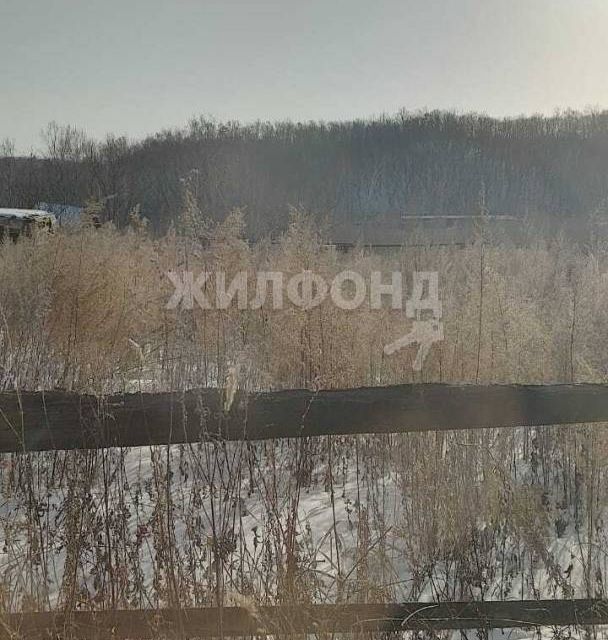 земля г Благовещенск ул Ленина 115 городской округ Благовещенск фото 1