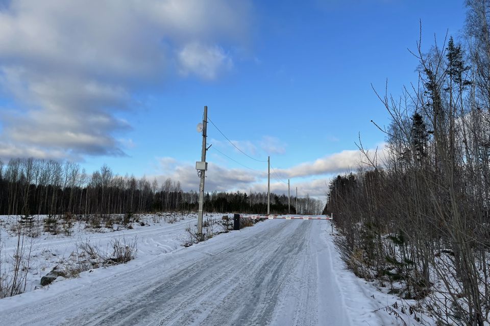 земля городской округ Верхняя Пышма, ТСН Луговое фото 4