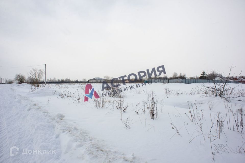 земля Привокзальный территориальный округ, деревня Прудное фото 4