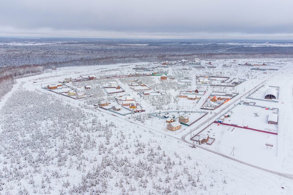 земля р-н Тюменский с Каменка дачное некоммерческое товарищество Подушкино фото 2