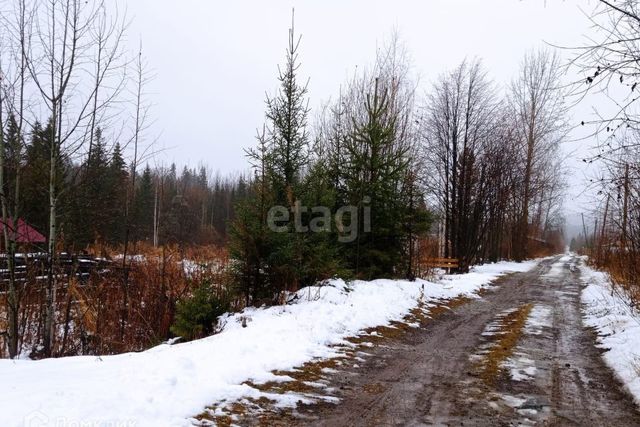 городской округ Нижний Тагил, СНТ № 15, Заречный район фото