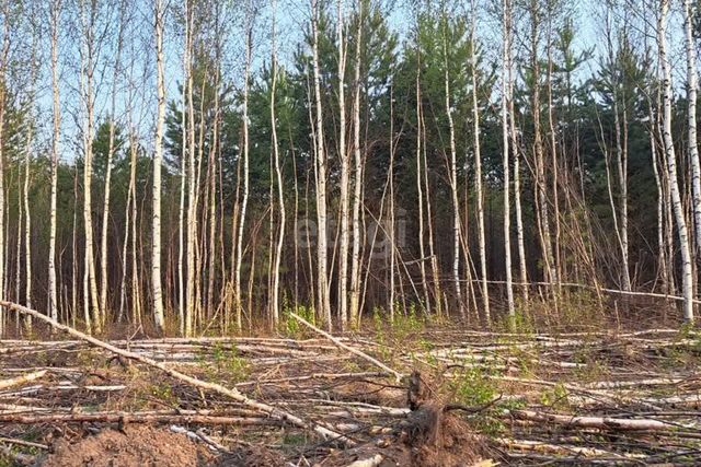 земля городской округ Ревда, Урочище Дегтяные фото