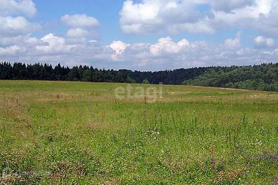 земля г Сосновоборск городской округ Сосновоборск, микрорайон 12А фото 1