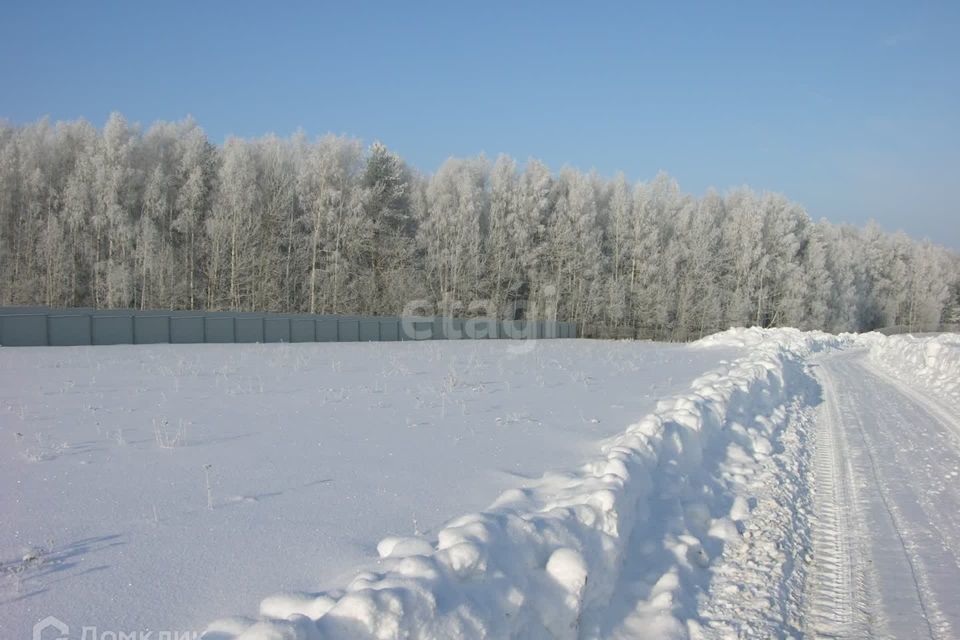 земля г Сосновоборск городской округ Сосновоборск, микрорайон 12А фото 1