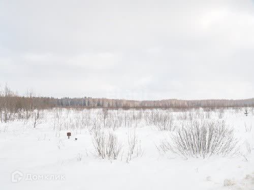 земля г Сосновоборск городской округ Сосновоборск, микрорайон 12А фото 1