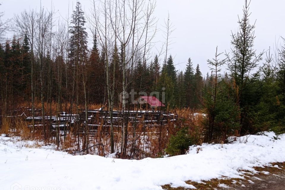 земля городской округ Нижний Тагил, СНТ № 15, Заречный район фото 2