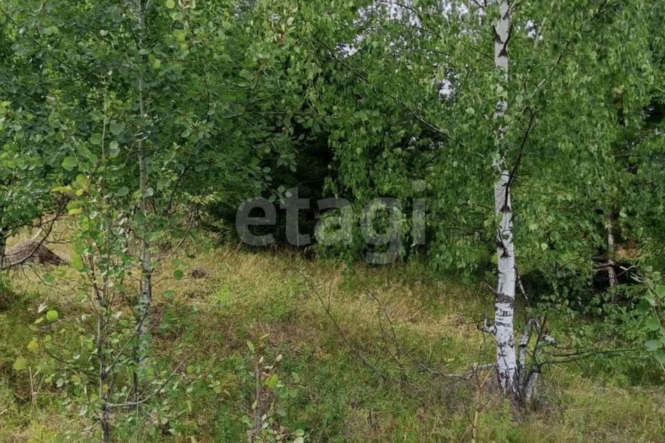 земля городской округ Нижний Тагил, посёлок Висимо-Уткинск фото 3