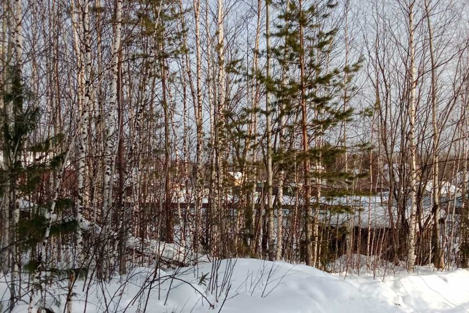 земля г Ханты-Мансийск садово-огородническое товарищество Связист, городской округ Ханты-Мансийск фото 1