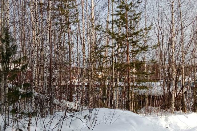 г Ханты-Мансийск садово-огородническое товарищество Связист, городской округ Ханты-Мансийск фото