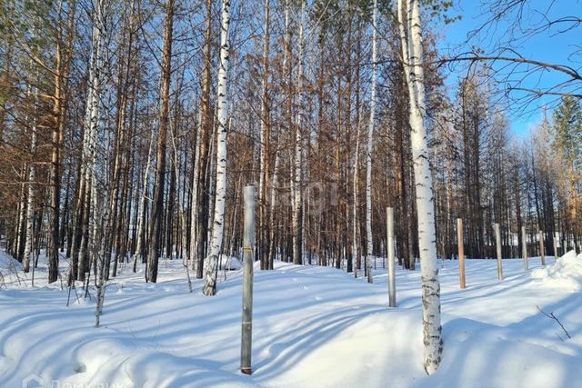 городской округ Верхняя Пышма, садоводческое некоммерческое товарищество Ветеран фото