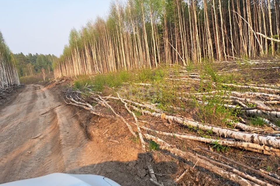 земля г Ревда с Кунгурка городской округ Ревда, Урочище Дегтяные фото 4