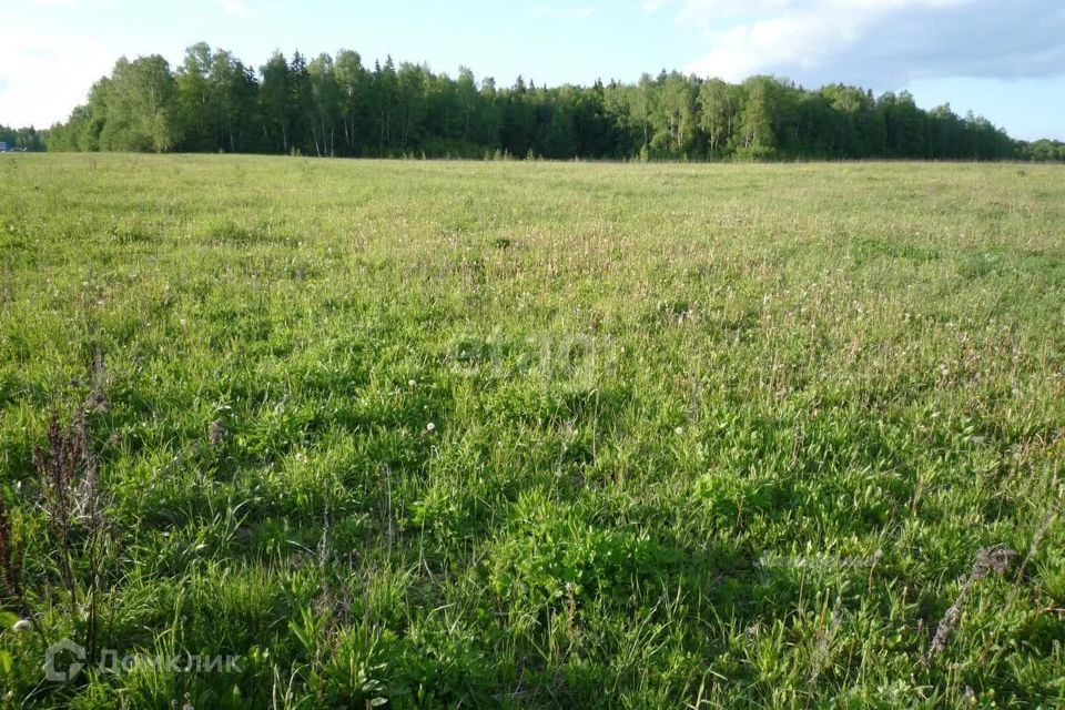 земля г Сосновоборск городской округ Сосновоборск, микрорайон 12А фото 3